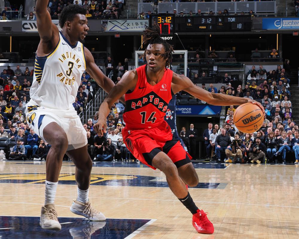 的大自然中 的大自然中